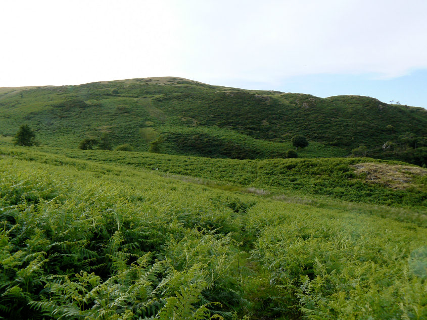 Broadmoor Hill Broadmoor Hill